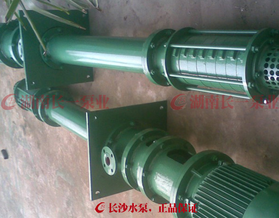 DWL/DWY/DWLY/DWYK型节段式多级离心液下泵