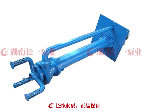 PWDDFL型多吸头污水排污泵