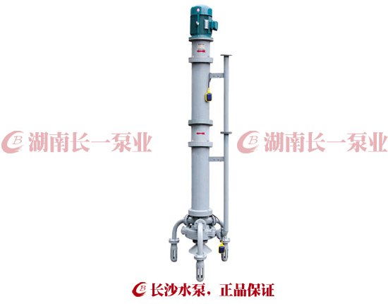 PWDL多吸头立式防淤排污泵